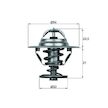 Termostat, chladivo MAHLE ORIGINAL TX 10 66D