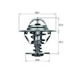 Termostat, chladivo MAHLE ORIGINAL TX 8 83D