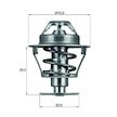 Termostat, chladivo MAHLE ORIGINAL TX 81 89D