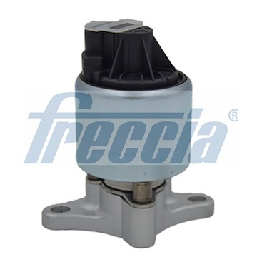 AGR-Ventil FRECCIA EGR12-109