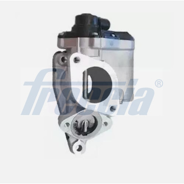 AGR-Ventil FRECCIA EGR12-223