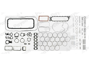 Kompletní sada těsnění, motor PAYEN FA5010