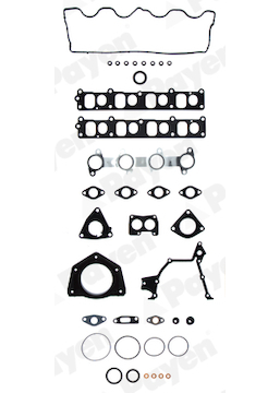 Kompletní sada těsnění, motor PAYEN FA5560