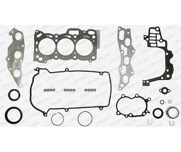 Kompletní sada těsnění, motor PAYEN FG5290