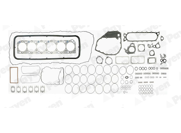 Kompletní sada těsnění, motor PAYEN FG9360