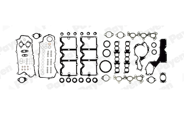 Kompletní sada těsnění, motor PAYEN FG9770