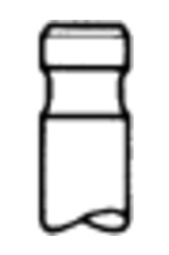 Sací ventil TRW Engine Component 48225