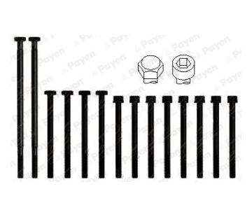Sada šroubů hlavy válce PAYEN HBS010