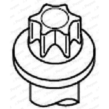 Sada šroubů hlavy válce PAYEN HBS530