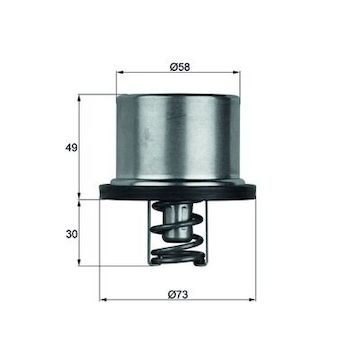 Termostat, chladivo MAHLE ORIGINAL THD 1 65