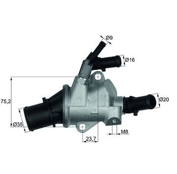 Termostat, chladivo MAHLE ORIGINAL TI 148 88