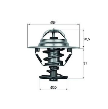 Termostat, chladivo MAHLE ORIGINAL TX 10 66D