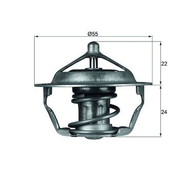 Termostat, chladivo MAHLE ORIGINAL TX 101 83D