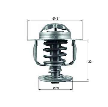 Termostat, chladivo MAHLE ORIGINAL TX 110 82D