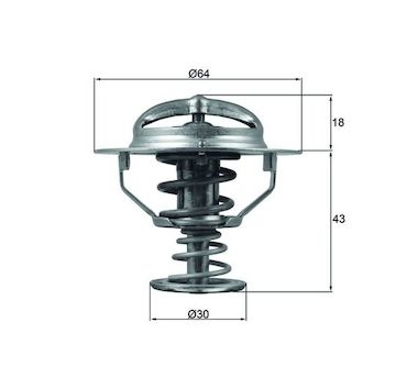 Termostat, chladivo MAHLE ORIGINAL TX 114 82D