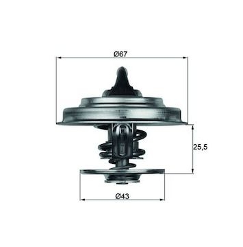 Termostat, chladivo MAHLE ORIGINAL TX 18 55D