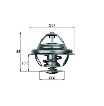 Termostat, chladivo MAHLE ORIGINAL TX 20 71D