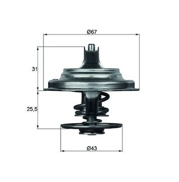 Termostat, chladivo MAHLE ORIGINAL TX 23 75D