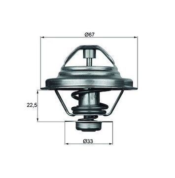 Termostat, chladivo MAHLE ORIGINAL TX 24 80D