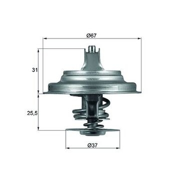 Termostat, chladivo MAHLE ORIGINAL TX 25 80D