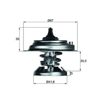 Termostat, chladivo MAHLE ORIGINAL TX 29 71D