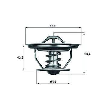 Termostat, chladivo MAHLE ORIGINAL TX 35 71