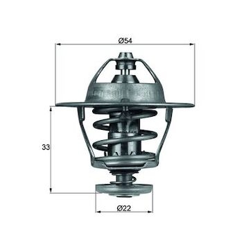 Termostat, chladivo MAHLE ORIGINAL TX 53 85D