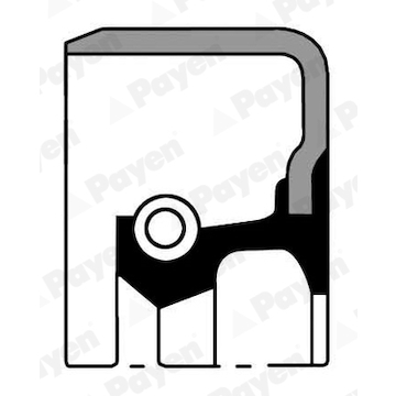 Těsnicí kroužek hřídele, diferenciál PAYEN NJ070