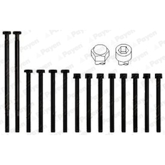 Sada šroubů hlavy válce PAYEN HBS010